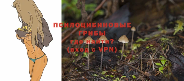 ешки Киреевск