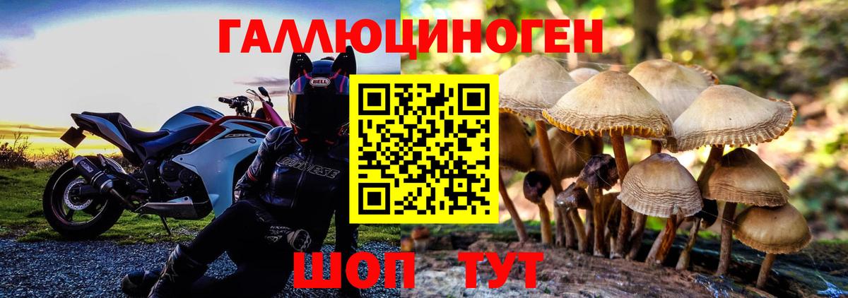 Галлюциногенные грибы мицелий  Вход с VPN  Чебоксары 